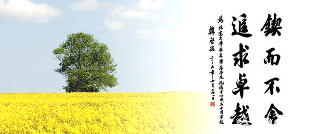 图片切换1