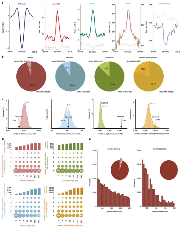 250-251期(完成版)-32.jpg 250-251期(完成版)-32.jpg